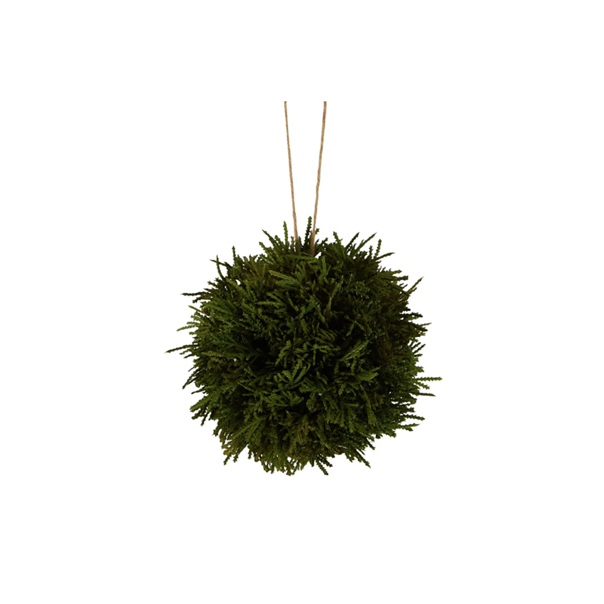 Cypress Hanging Ball 15cm