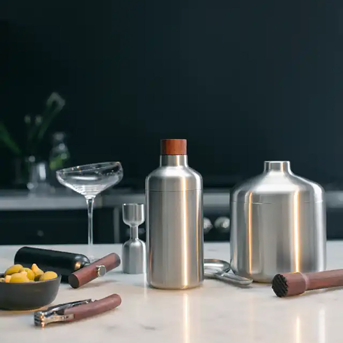 Liquid Lounge Cocktail Shaker