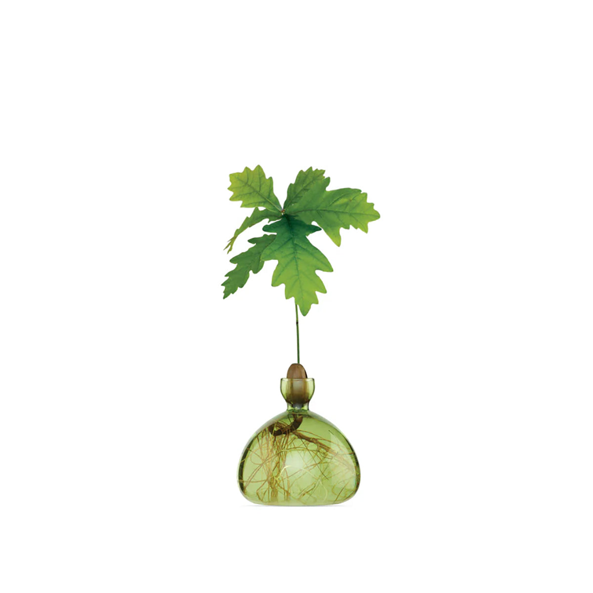 Acorn Vase Grass Green