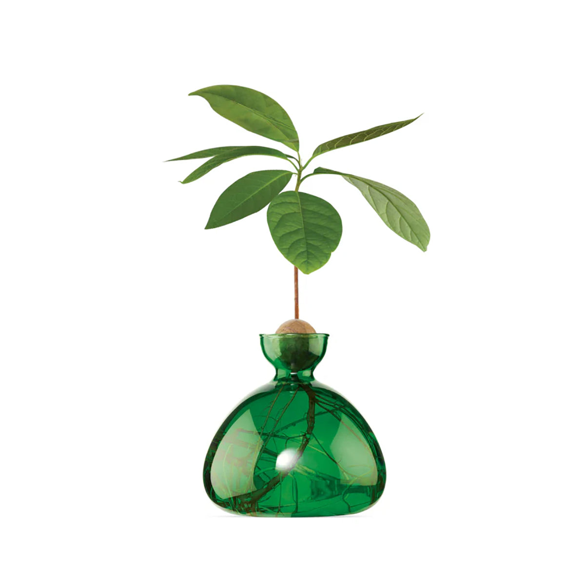Avocado Vase Emerald Green