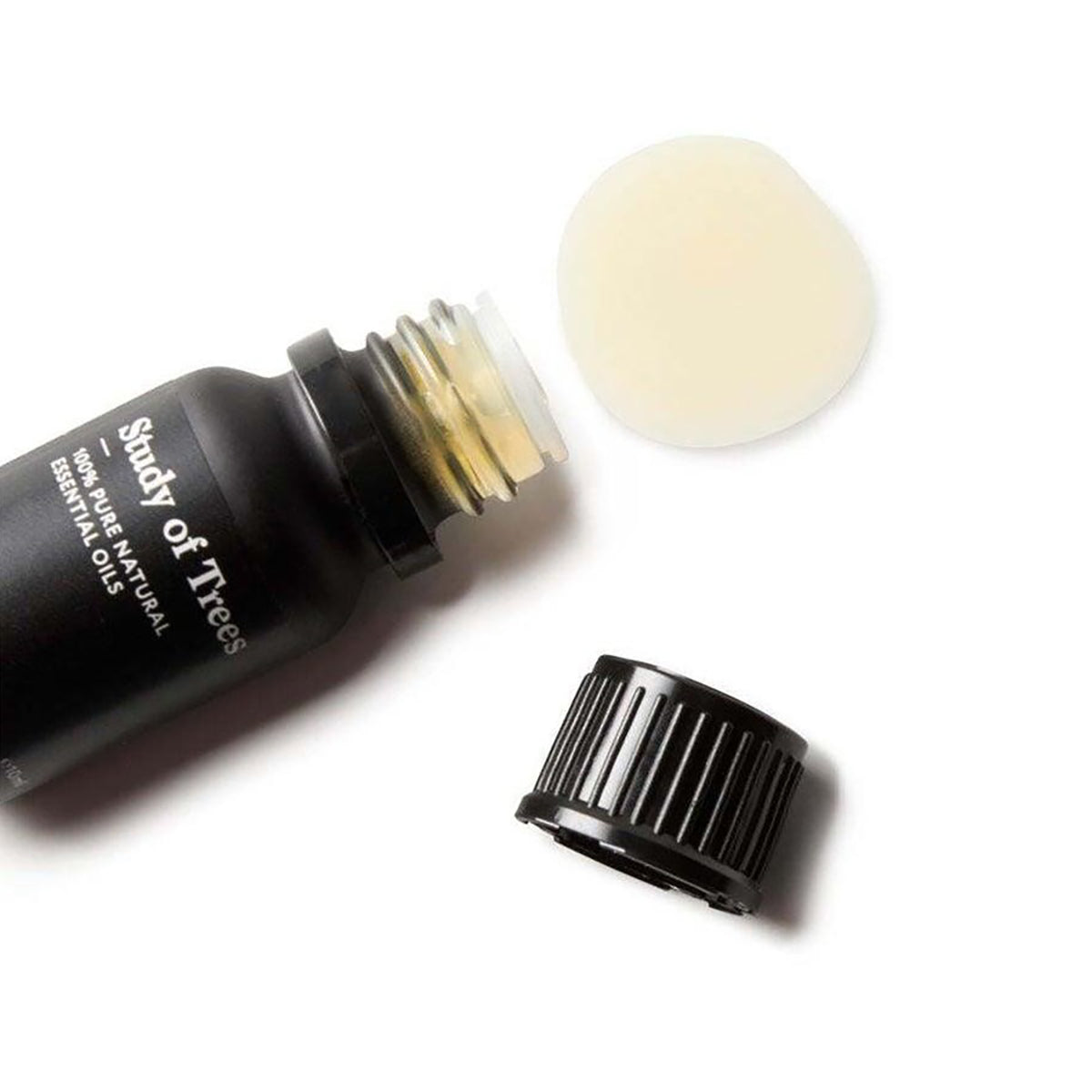 Essential Oil Study of Trees