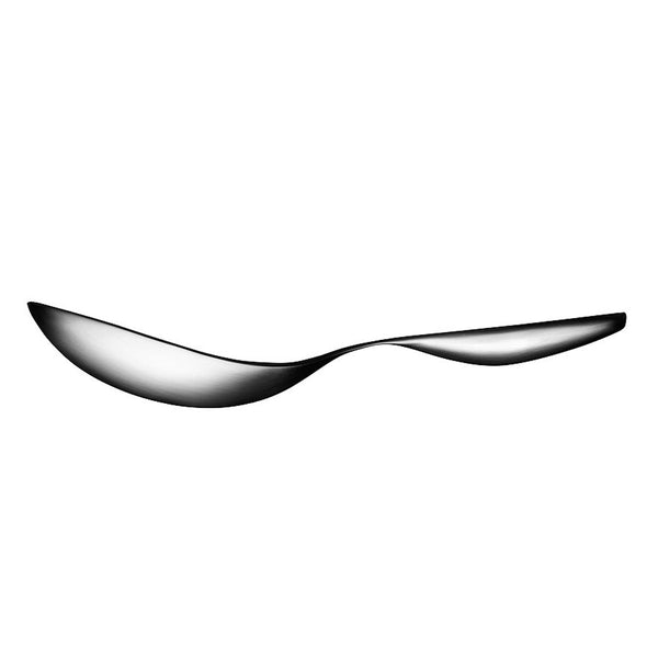 Citterio Serving Spoon Large
