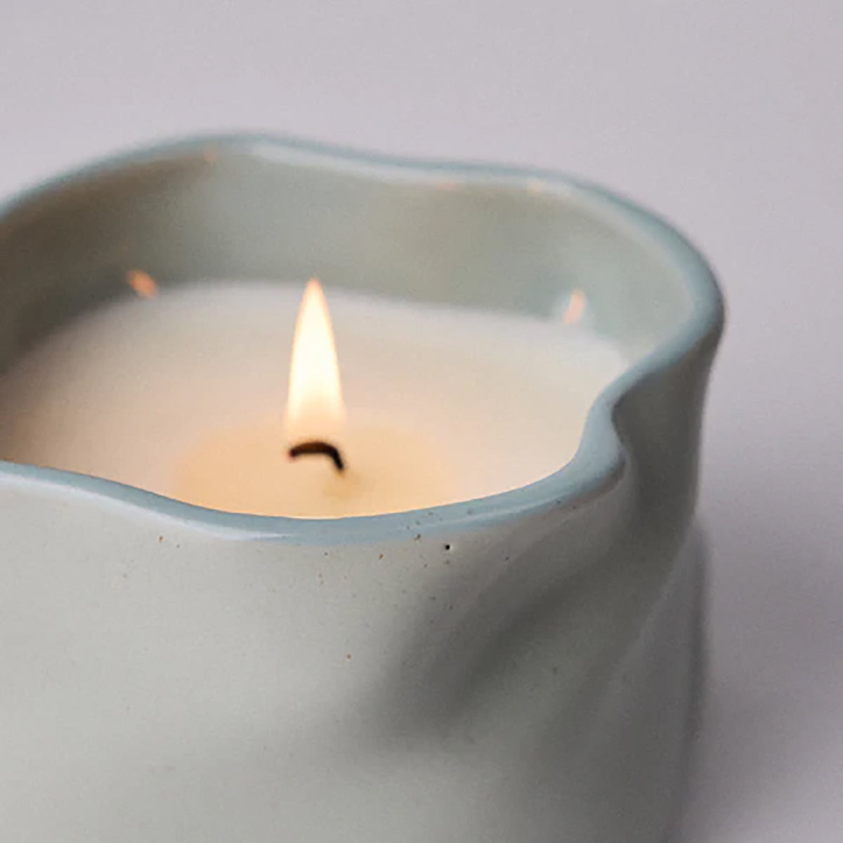 Study of Trees Candle Sage Limited Edition