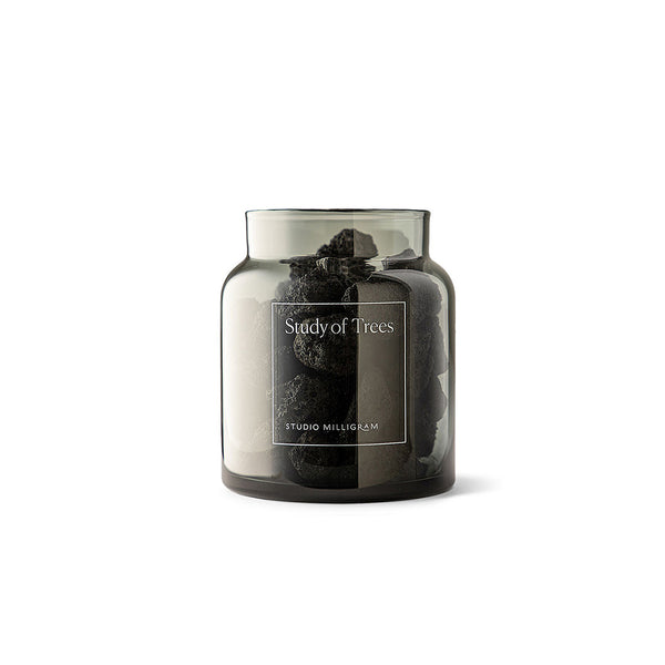 Scented Volcanic Rock Set / Study of Trees