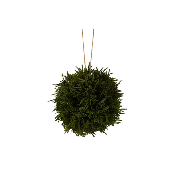 Cypress Hanging Ball 15cm