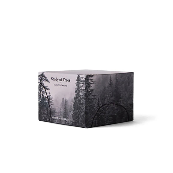 Study of Trees Candle Limited Edition