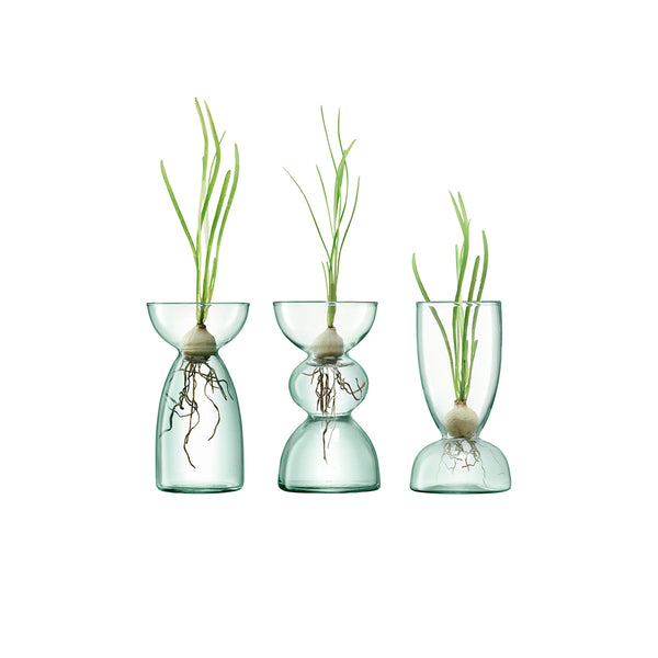 Canopy Trio Vases