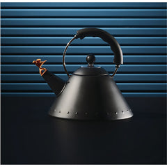 Michael Graves 9093 Matt Black Kettle