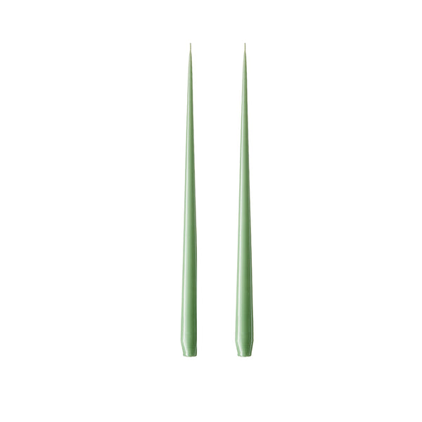 Taper Candle 32cm Eucalyptus no.66 Pair