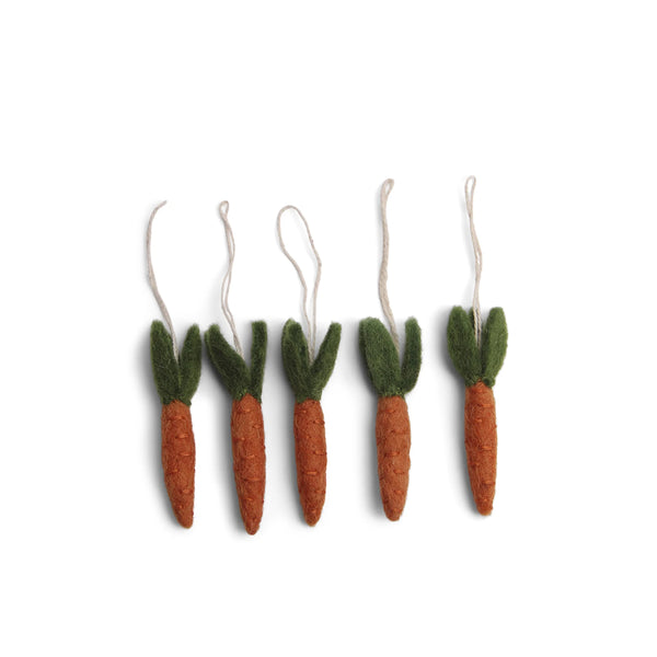 Carrots Set / 5