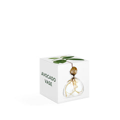 Avocado Vase Clear