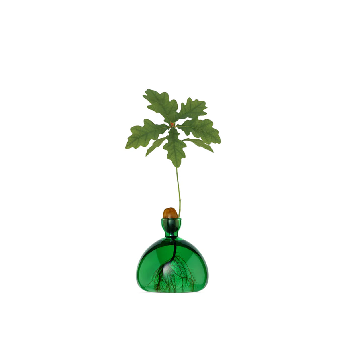 Acorn Vase Emerald Green