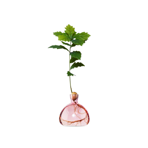 Acorn Vase Rose Pink
