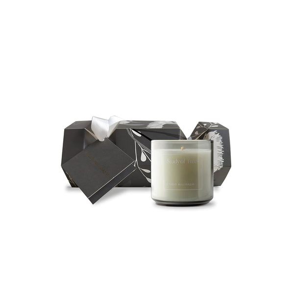 Study of Trees Scented Candle Limited Edition Gifting Set