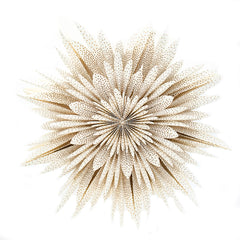 Hanging Paper Snowflake Off-White/Gold Dots 65cm