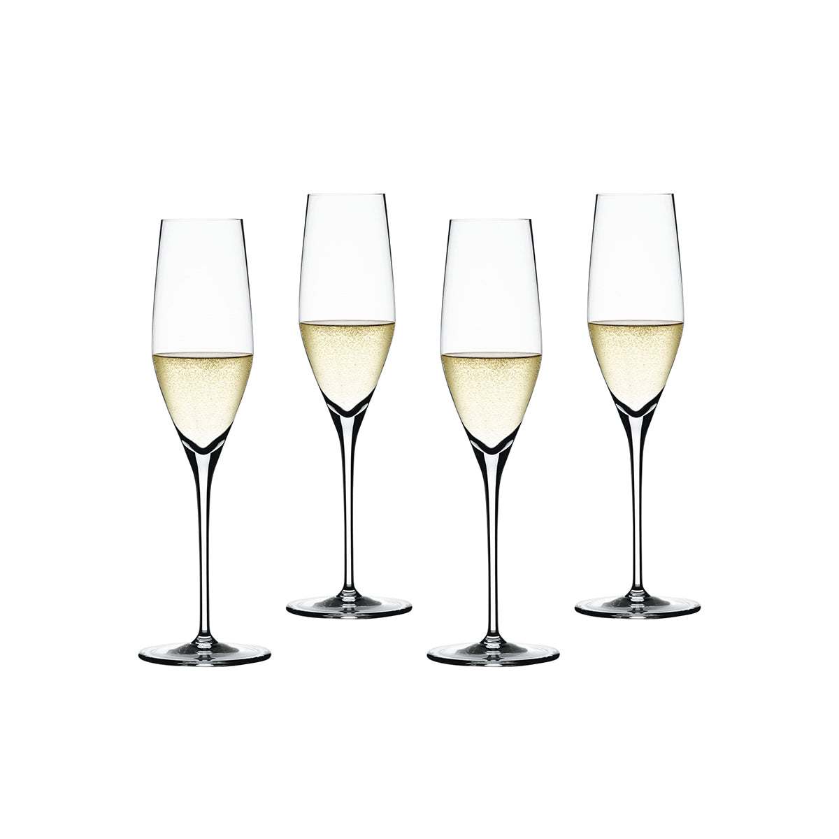 Authentis Champagne Glasses / Set 4