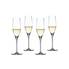 Authentis Champagne Glasses / Set 4