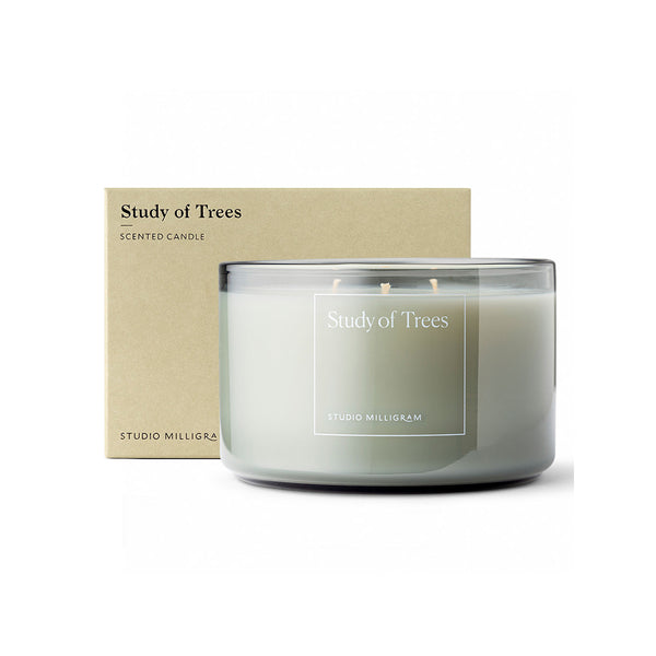 Scented 3 Wick Candle / Study of Trees