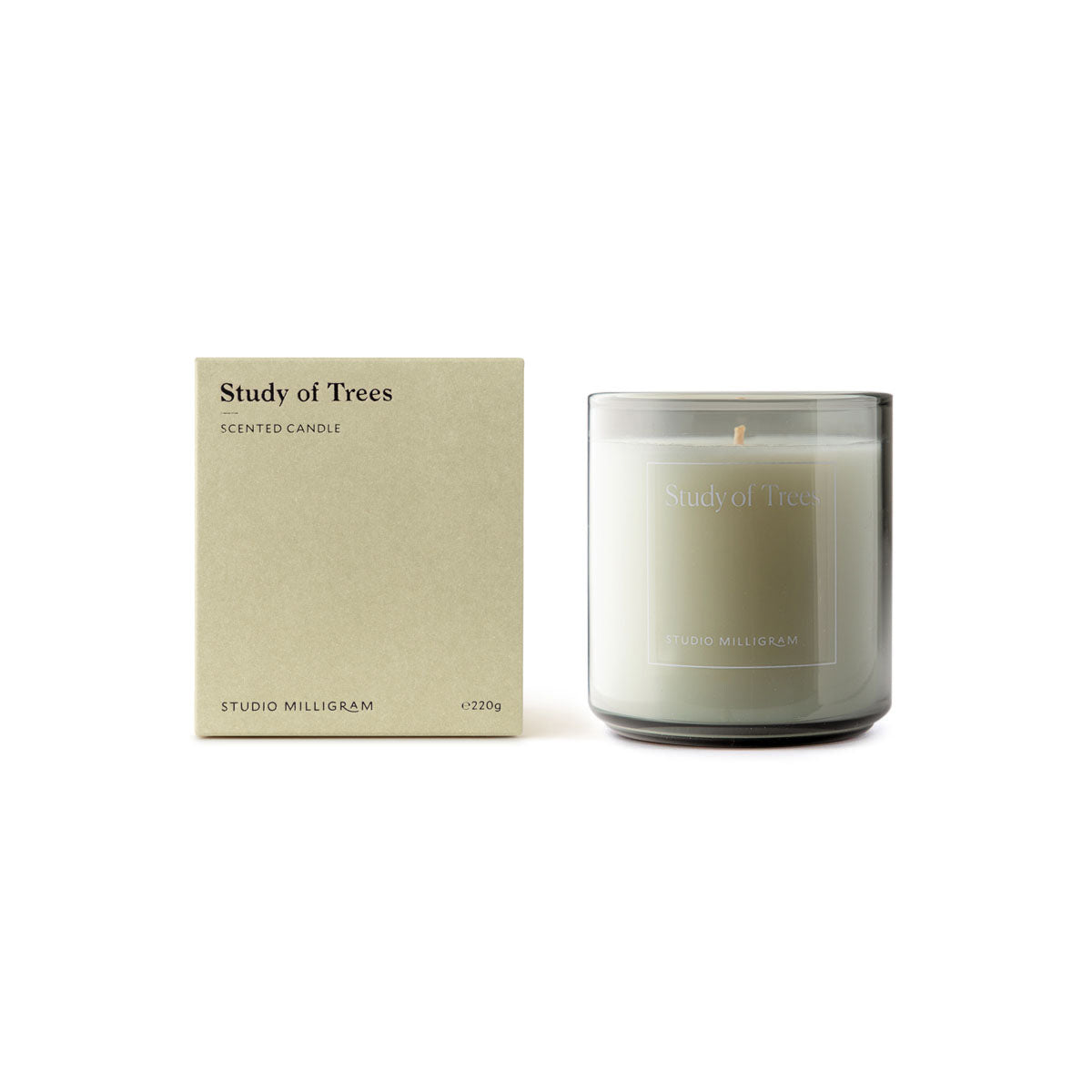 Scented Candle / Study of Trees