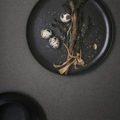 New Norm Dinner Plate