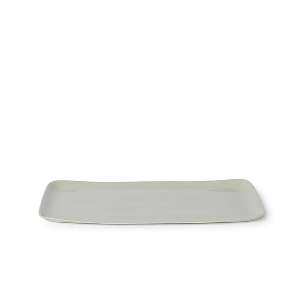 Platter Dust